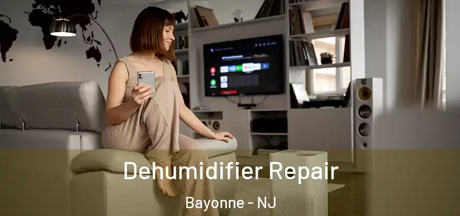  Dehumidifier Repair Bayonne - NJ