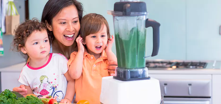 Juicer and Mixer Blender Repair in Bayonne 