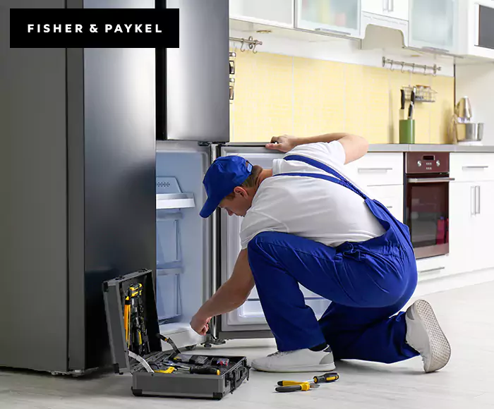 Top-Rated Fisher & Paykel Appliance Experts: Your Brand Specialist in Bayonne, NJ